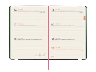 Agenda Finocam Joy F4 sem/vista horizontal cat 2026 Bloom