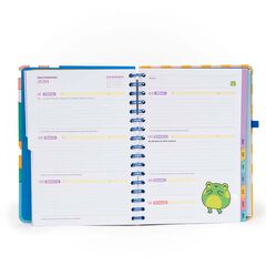 Agenda Mr.Wonderful sem/vista 2026 cat Plans random