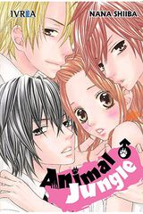 Animal jungle Animal jungle