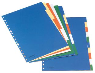 Separadors Esselte A4 PP 10 posicions