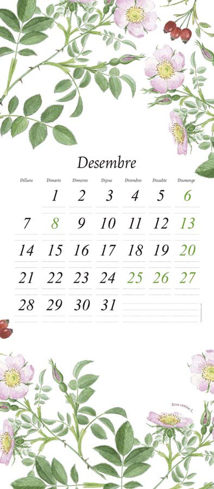 Calendari paret Flora 2026 catal&agrave;