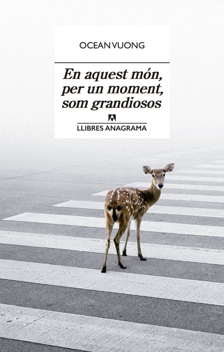 En aquest món, per un moment, som grandiosos En aquest món, per un moment, som grandiosos
