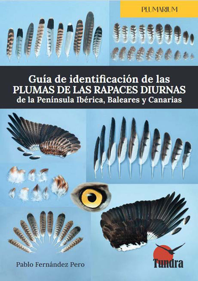 Gu&iacute;a de identificaci&oacute;n de las plumas de las rapaces diurnas de la Pen&iacute;nsula Ib&eacute;rica, Baleares y Canarias