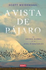 A vista de pájaro A vista de pájaro