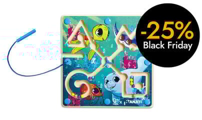 Laberint Magnètic Iti