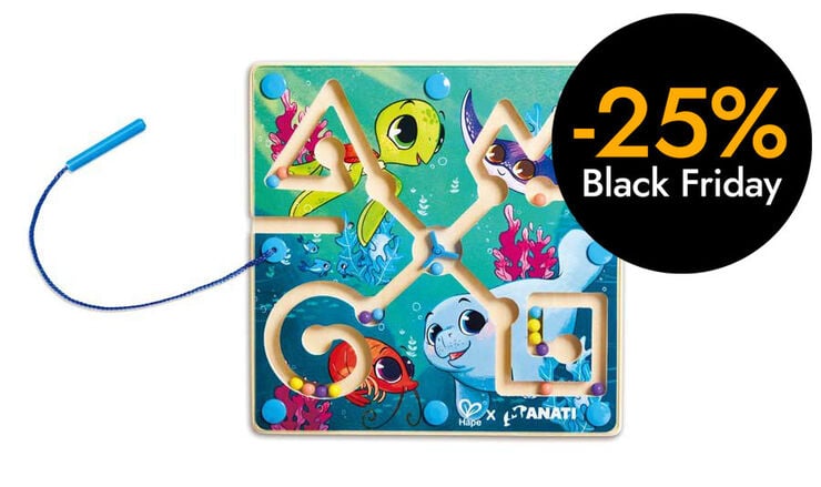 Laberint Magnètic Iti