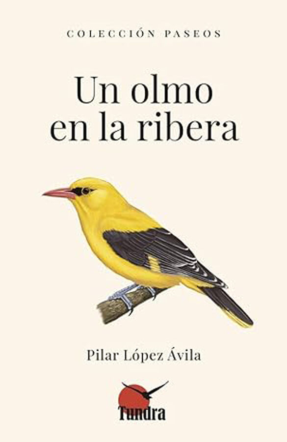 Un olmo en la ribera