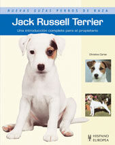 Jack Russell terrier