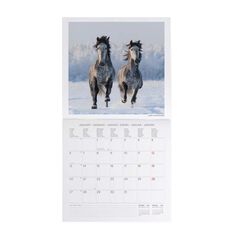 Calendario Pared Legami m/vista 2025 Horses