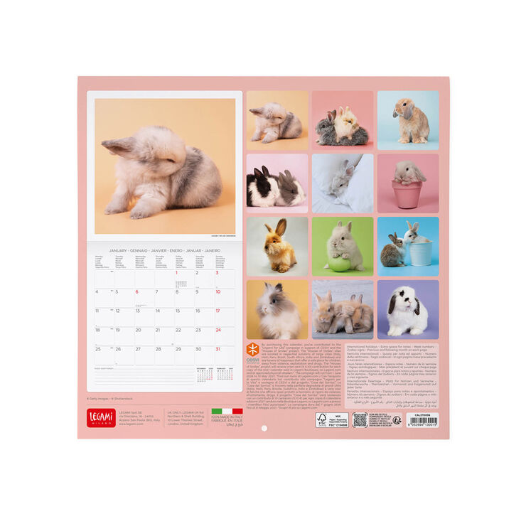 Calendario Legami 30x29 Pared Honey Bunny Multiling&uuml;e 2027