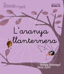 Llanternera, L'aranya Llanternera, L'aranya