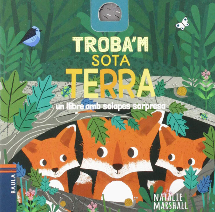 Sota terra Sota terra
