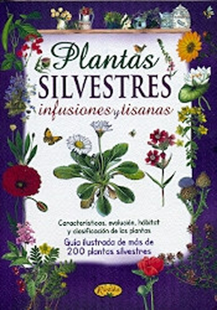 Plantas silvestres, infusiones y tisanas