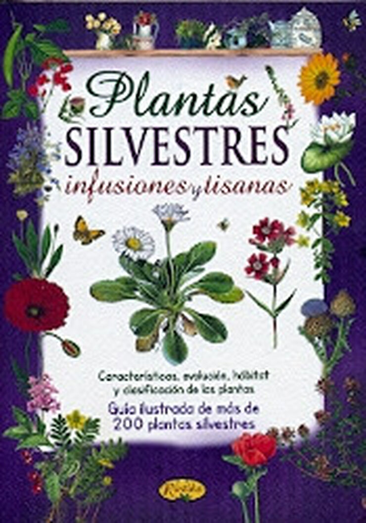 Plantas silvestres, infusiones y tisanas