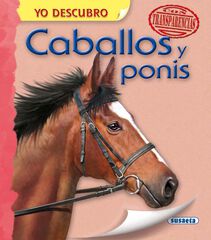 Caballos y ponis Caballos y ponis