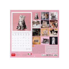 Calendario Legami 30x29 Pared Kittens Multiling&uuml;e 2027