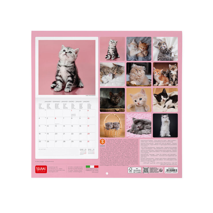 Calendario Legami 30x29 Pared Kittens Multiling&uuml;e 2027