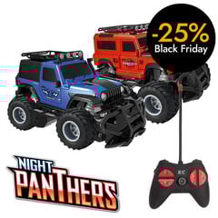 Cotxe teledirigit Night Panthers. Model assortit