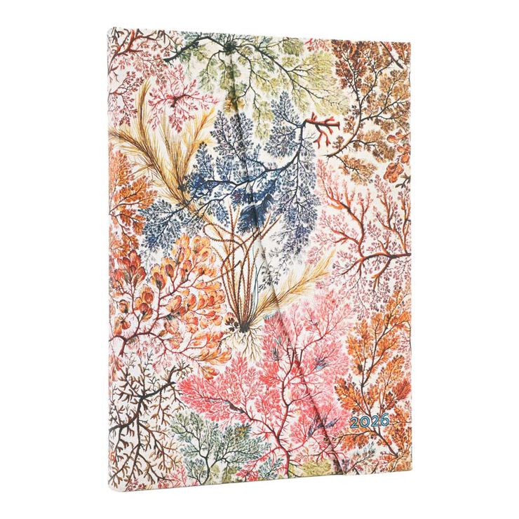 Agenda Paperblanks Anèmones Midi apaïsada setm/vista cas 2026