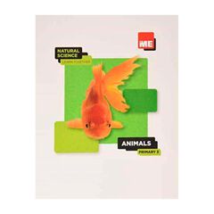 Animals. Natural Science Learn Together 3º Animals. Natural Science Learn Together 3º