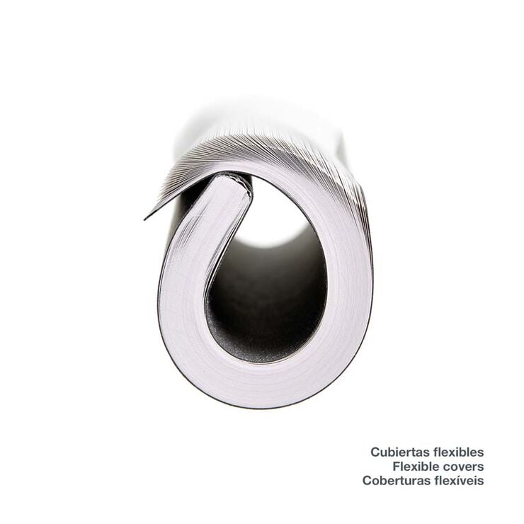 Agenda Miquelrius Journal 12x16 dia/pàg mult 2026 Quad. silver