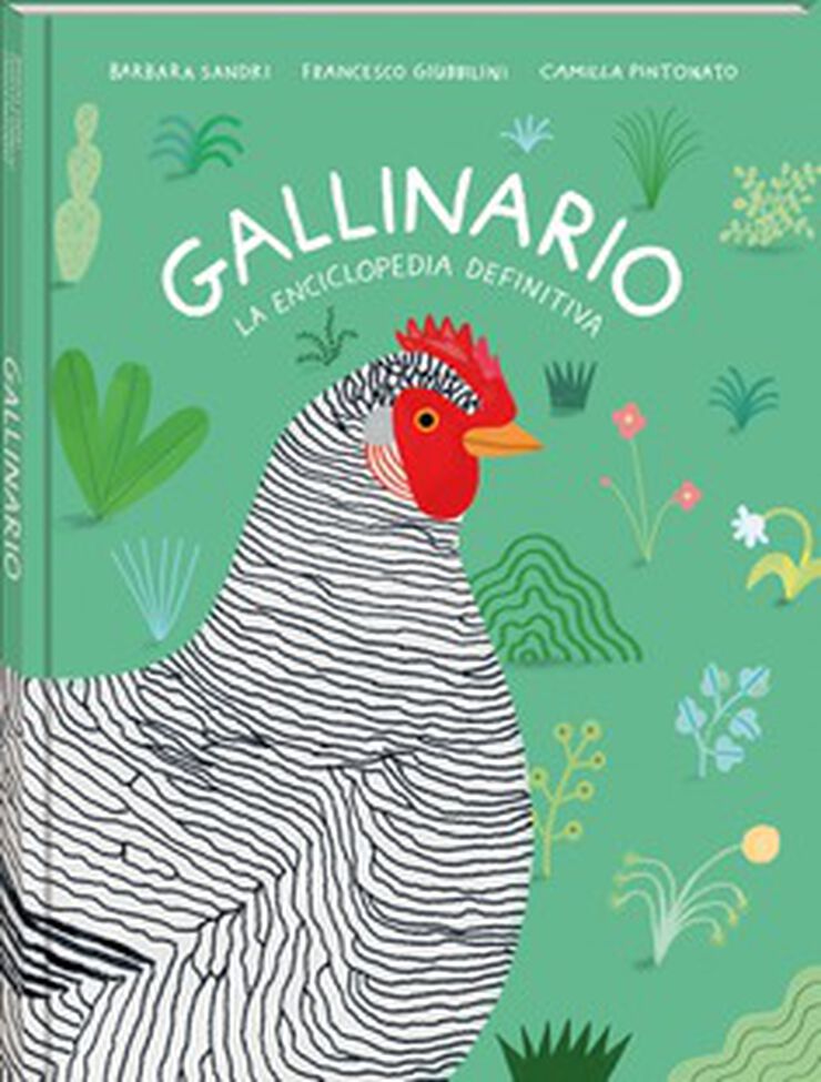 Gallinario Gallinario