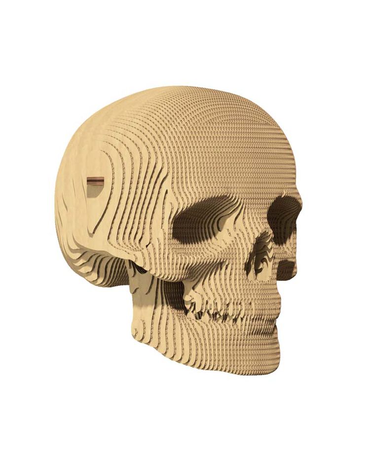 Cartonic Calavera