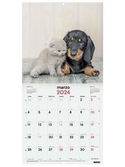 Calendari paret Finocam 30X30 2024 Gossos/ Gats cas