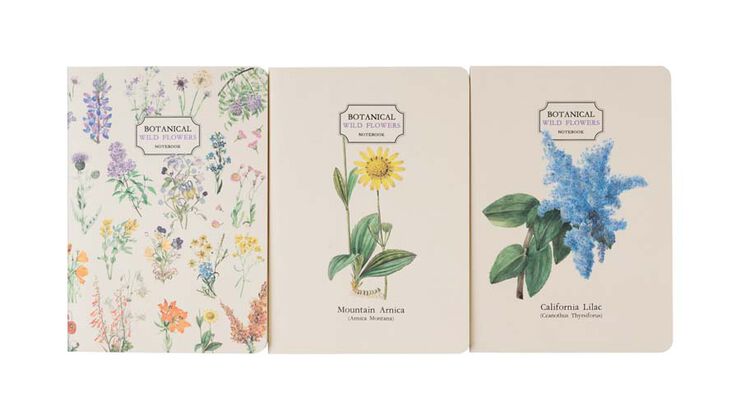 Pack 3 Cuadernos A6 Kokonote Botanical Wild Flowers