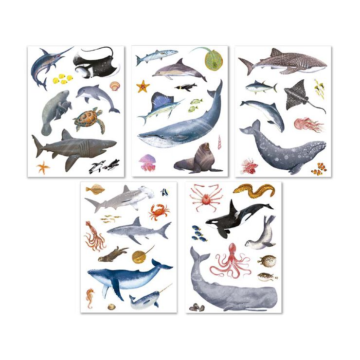 Adhesius Animals Marins