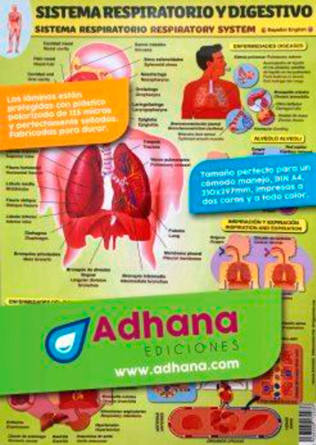 SISTEMA RESPIRATORIO / DIGESTIVO 8436005170936 Primaria Alfaomega 8436005170936
