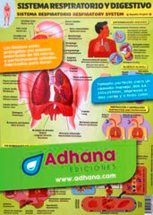 SISTEMA RESPIRATORIO / DIGESTIVO 8436005170936 Primaria Alfaomega 8436005170936