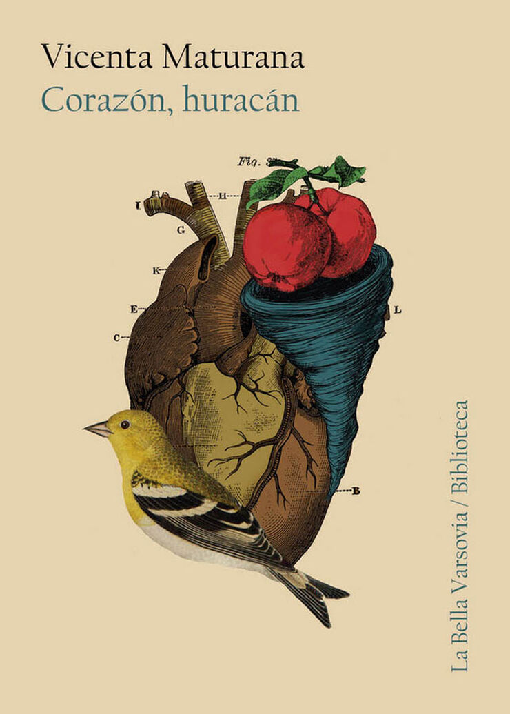 Corazón, huracán