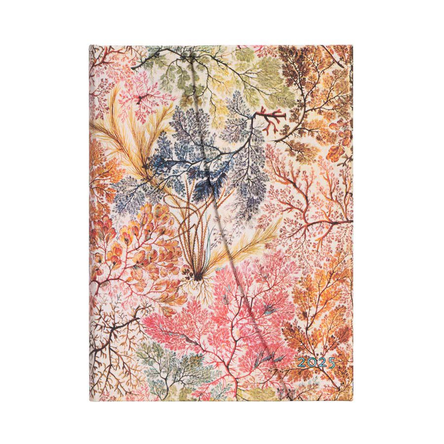 Agenda Paperblanks An&eacute;monas Midi sem/vista castellano 2025