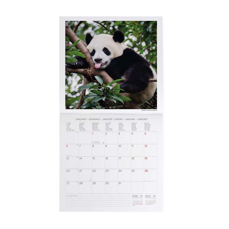 Calendario Pared Legami m/vista 2025 Pandastic