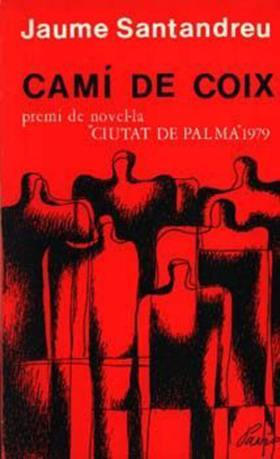 Cam&iacute; de coix