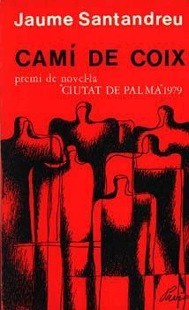 Cam&iacute; de coix