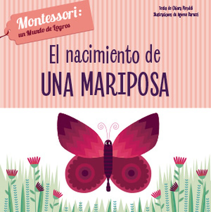 El nacimiento de una mariposa