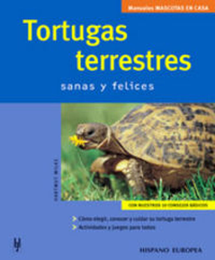 Tortugas terrestres: mascotas en casa