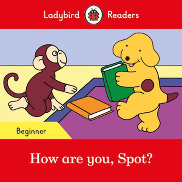 How are you spot? lbr beginner
