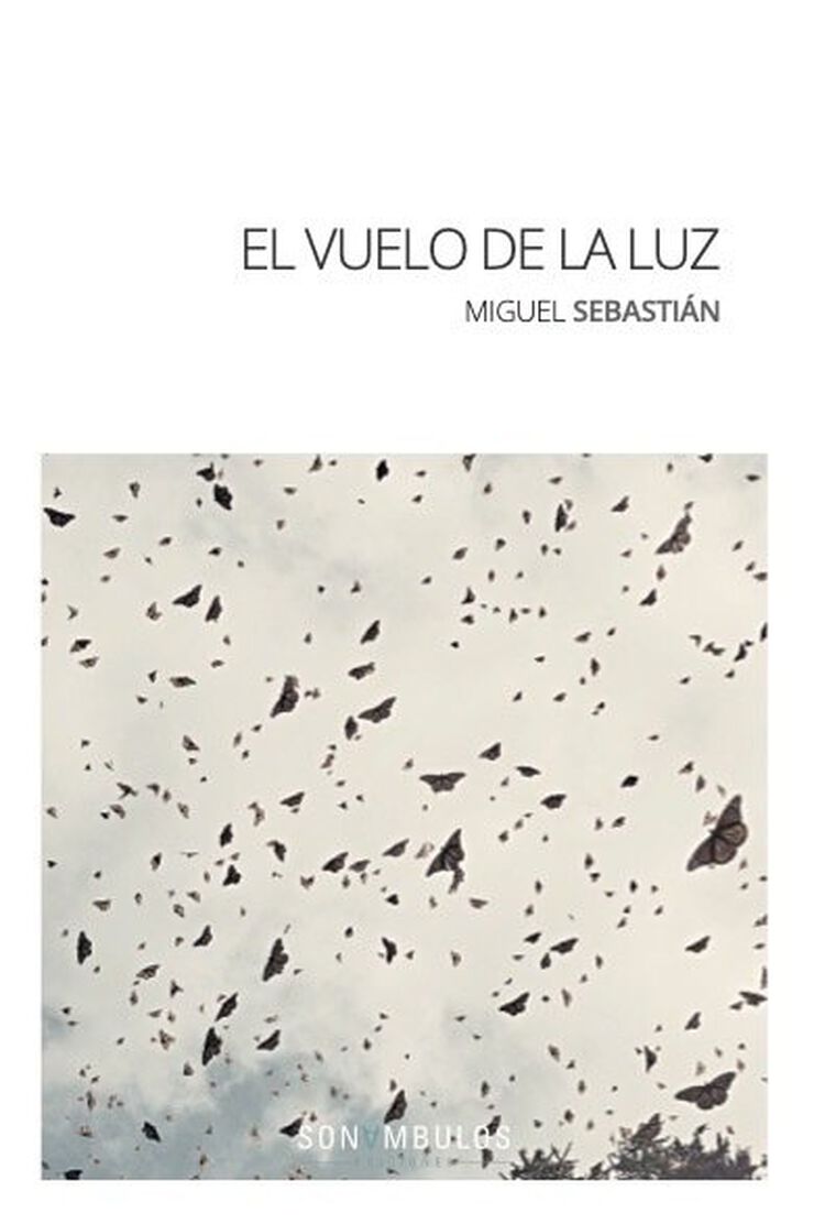 El vuelo de la luz