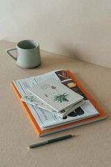 Pack 3 Cuadernos A6 Kokonote Botanical Cacti