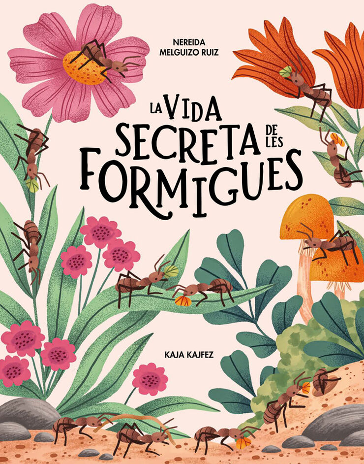 La vida secreta de les formigues