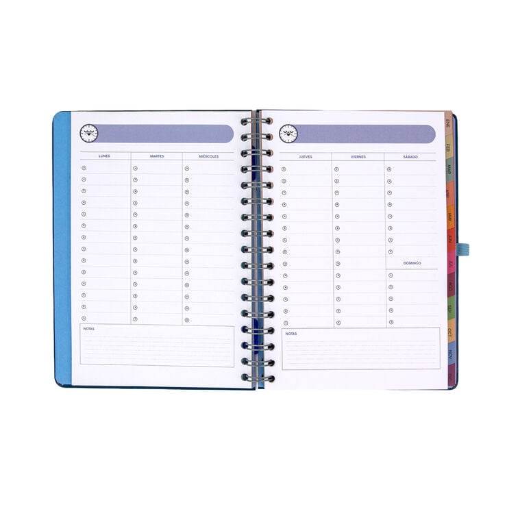 Agenda Mr. Wonderful Semana Vista Castellano Plan De Hoy... 2027