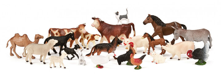 Animals de granja amb bebès Miniland 10 unitats