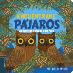 Pájaros Pájaros