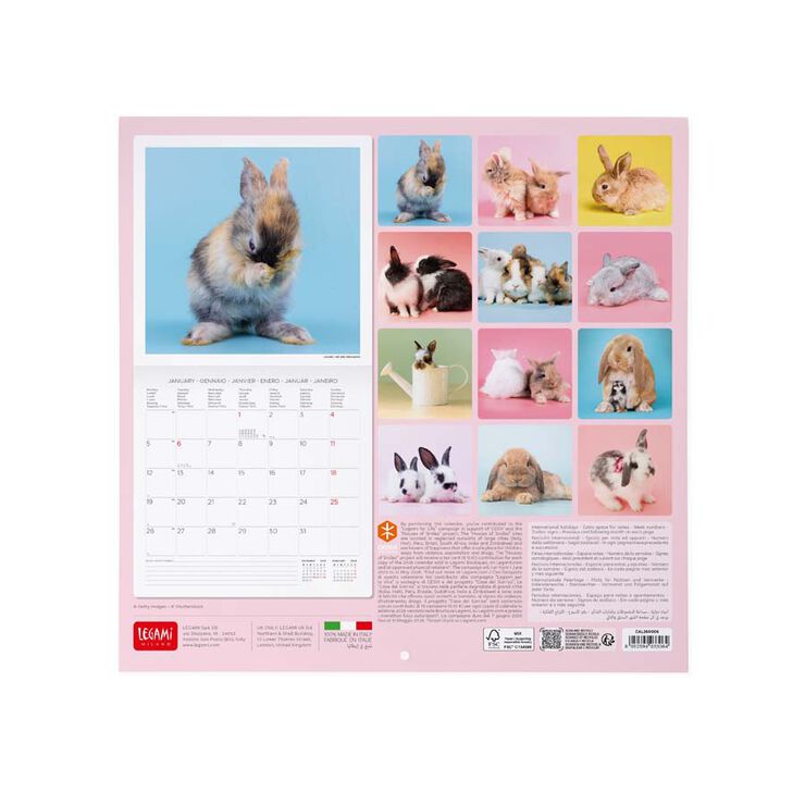Calendario pared Legami 30x29cm 2026 Honey Bunny
