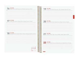Agenda Finocam espiral 18 meses E10 sem/vista mult 2025-26 daisy