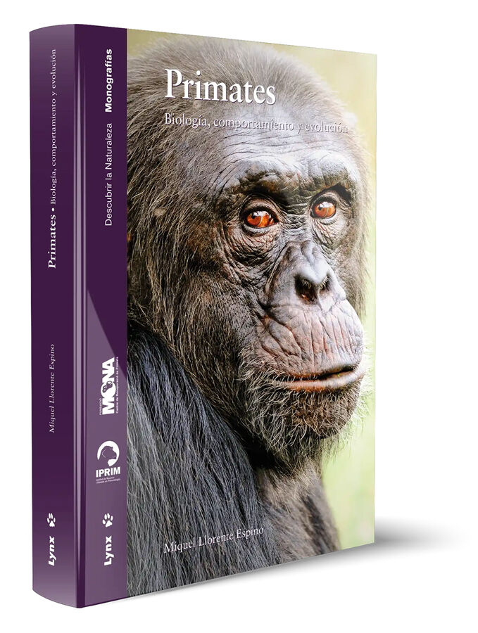 Primates