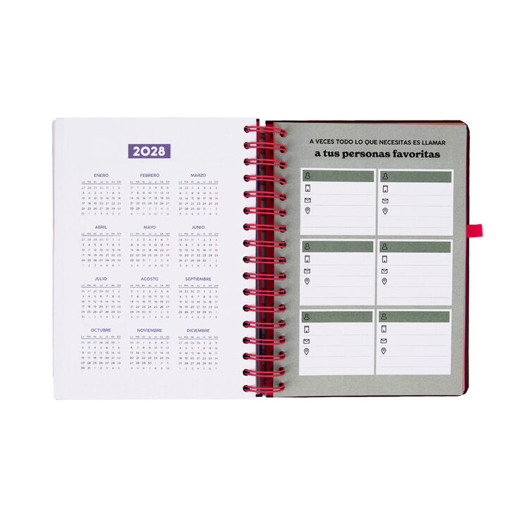 Agenda Mr. Wonderful Dia P&agrave;gina Full Aesthetic 2027 Multicolor